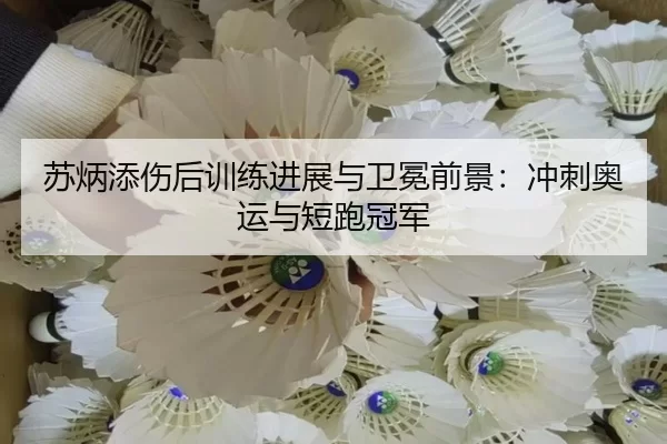 苏炳添伤后训练进展与卫冕前景：冲刺奥运与短跑冠军